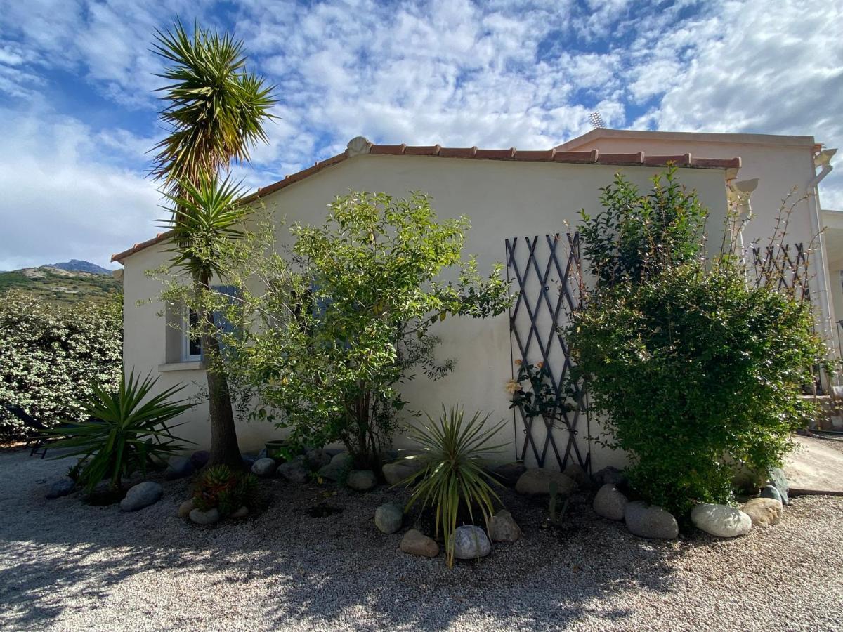 Casina Calenzana公寓 外观 照片